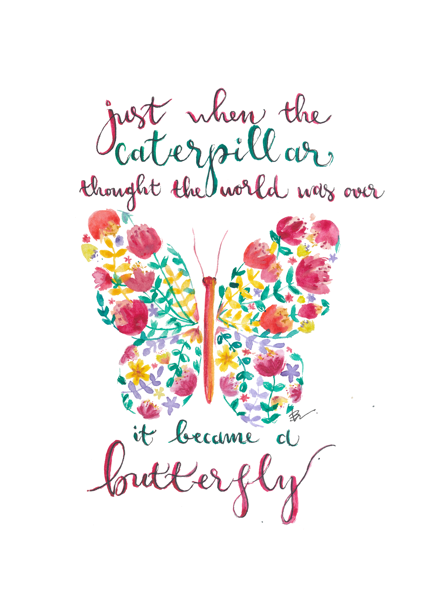 A Caterpillar becomes a Butterfly