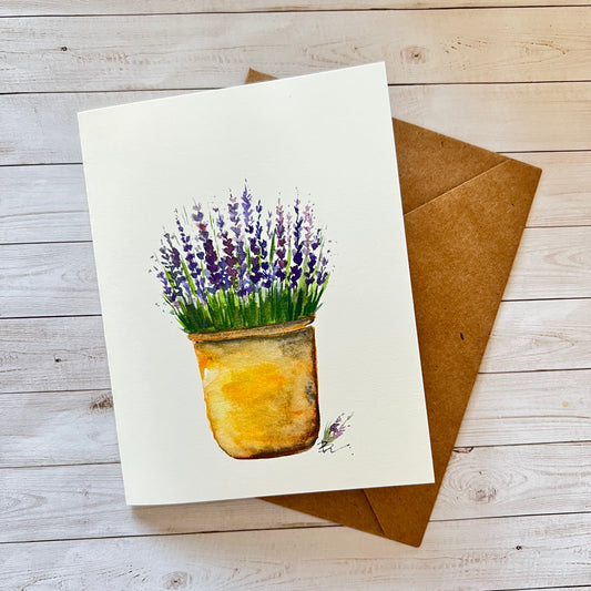 Lavender love